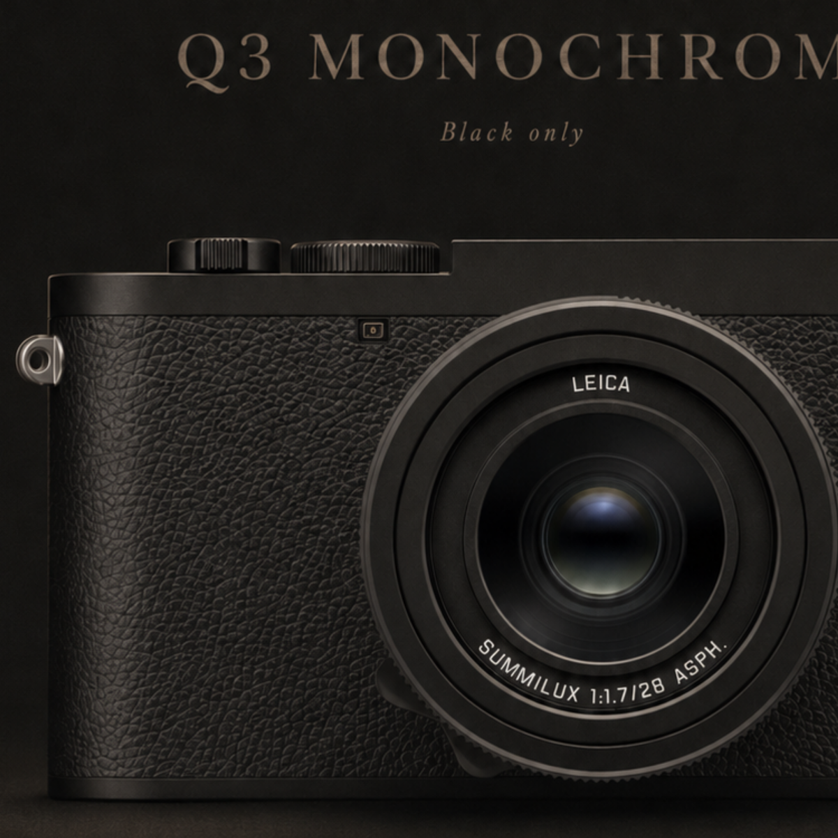 Close-up detail of Leica Q3 Monochrom camera wall artwork