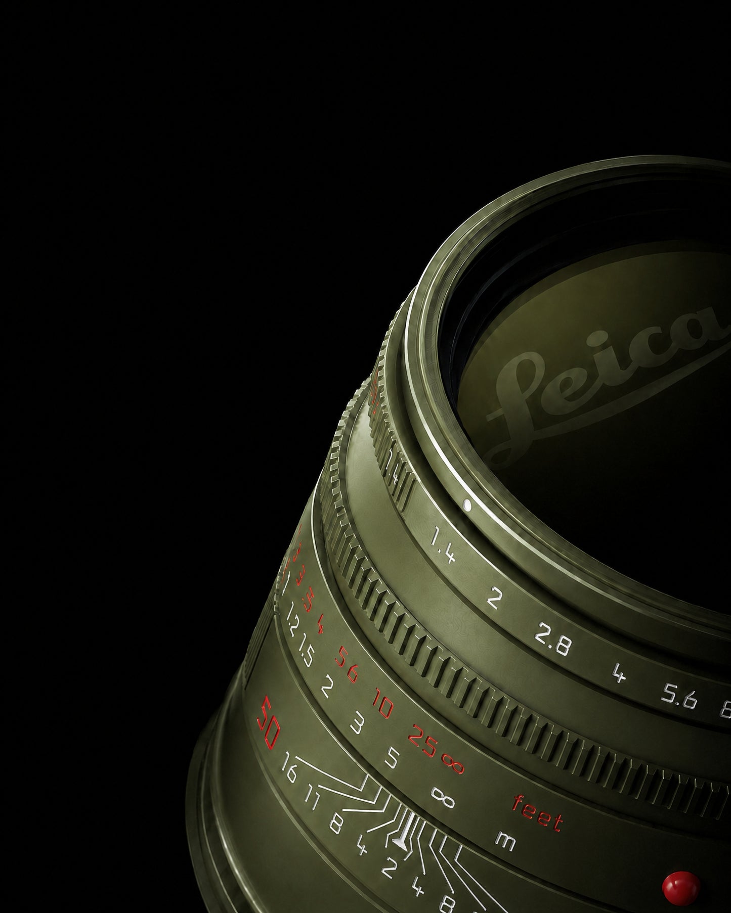 SUMMILUX STUDIES — SAFARI