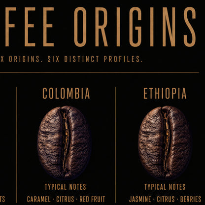 Close-up detail of Coffee Origins wall art featuring coffee origins and flavour notes