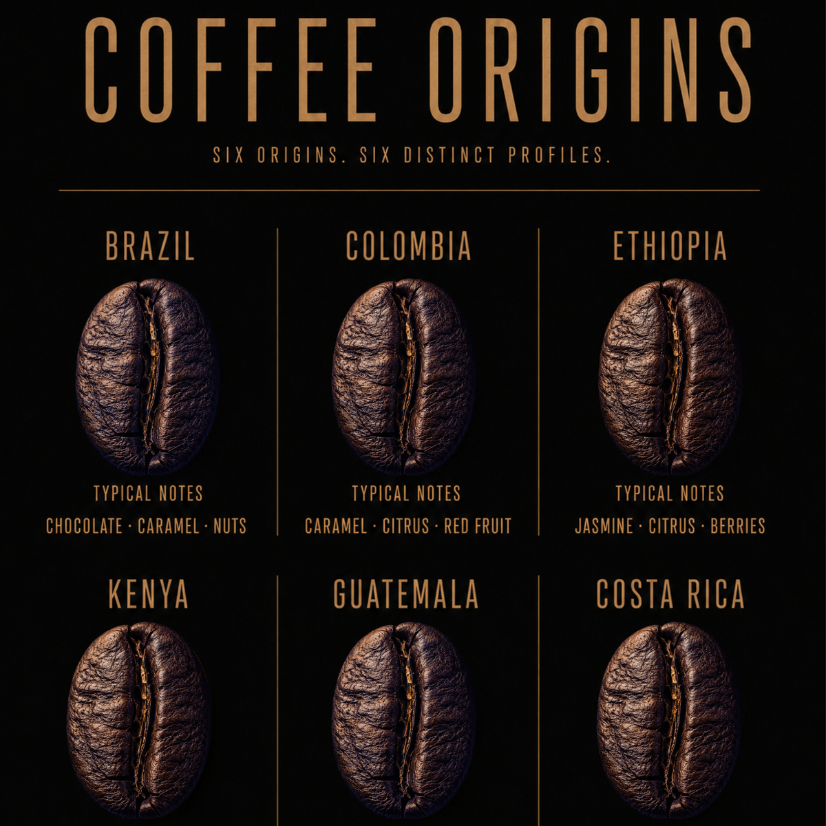 Coffee Origins wall art featuring coffee origins and flavour notes