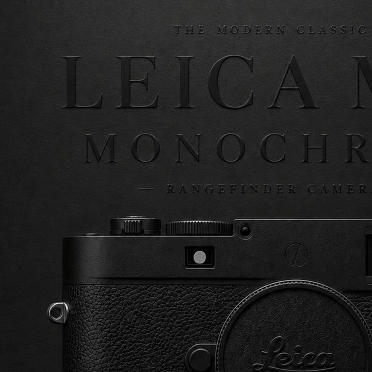 Close-up detail of Leica M11 Monochrom camera wall artwork